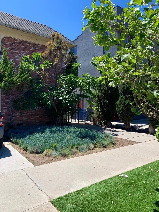 3731 Jasmine Ave in Los Angeles, CA - Building Photo - Building Photo