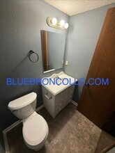 112 SW Oxford Pl in Lee's Summit, MO - Building Photo - Building Photo