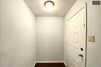 7705 Forest Fern photo'