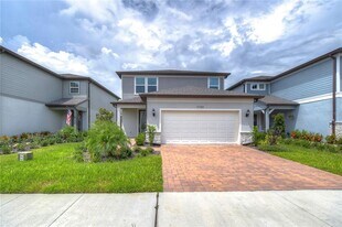 17789 Everlong Dr in Land O Lakes, FL - Building Photo