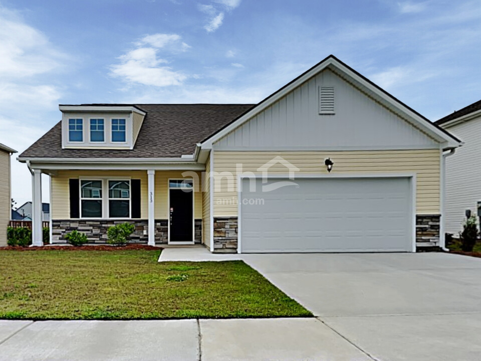 313 Azore Way in Summerville, SC - Building Photo