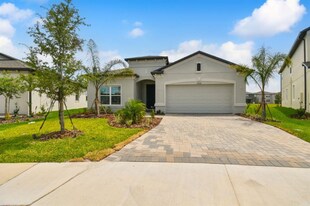 38124 Shale Stone Ct in Zephyrhills, FL - Building Photo