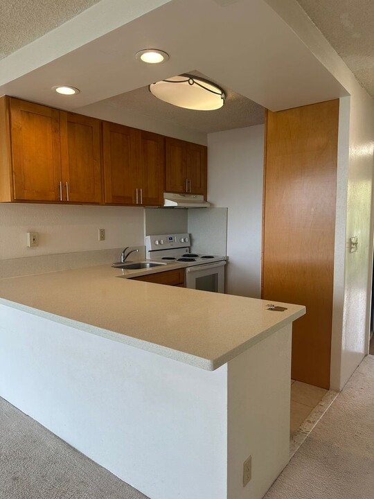 1013 Prospect St in Honolulu, HI - Building Photo