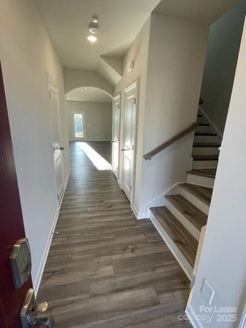 13103 Cottage Crst Ln in Charlotte, NC - Building Photo - Building Photo