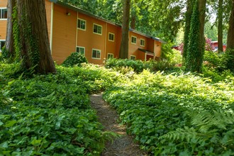 Evergreen Rock Maple Apartments in Olympia, WA - Building Photo - Building Photo