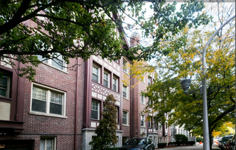 521 W Stratford Pl, Unit 204 in Chicago, IL - Foto de edificio - Building Photo