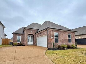 9738 Ryder Spgs Dr in Cordova, TN - Building Photo