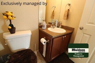 6214 Saddlebred Way in Colorado Springs, CO - Building Photo - Building Photo
