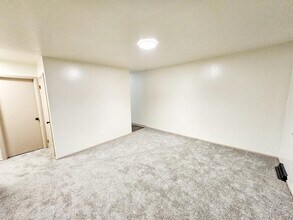 241 Cluster Ave in Akron, OH - Building Photo - Building Photo