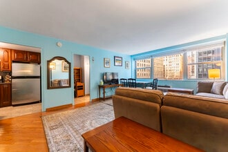 253 E Delaware Pl in Chicago, IL - Building Photo - Building Photo