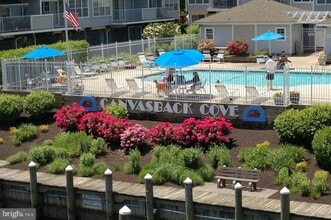 82 Fountain St, Unit 82 in Havre De Grace, MD - Building Photo - Building Photo