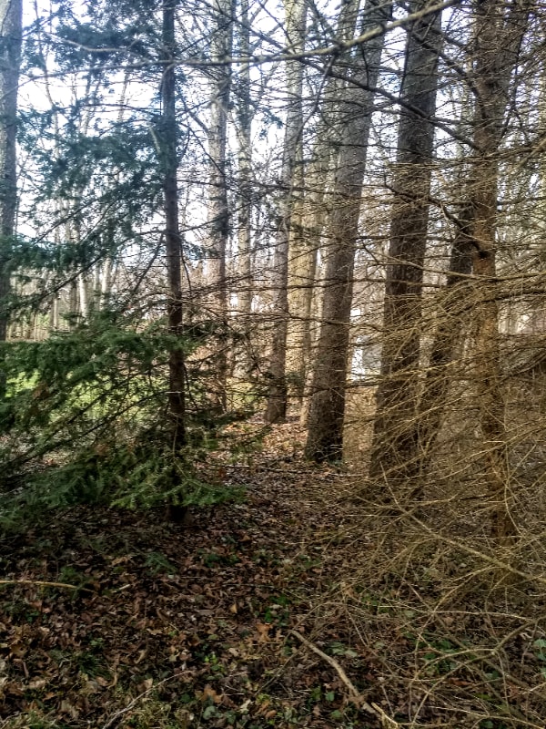 property at 16351 Petro Dr