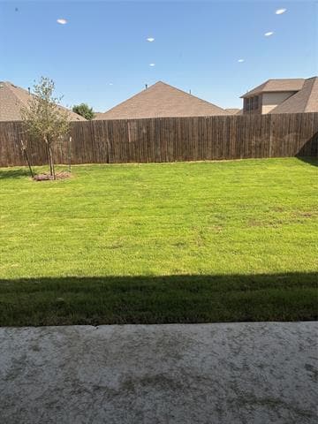 1313 Francesca Dr in Little Elm, TX - Building Photo - Building Photo
