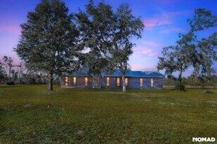 7219 Good Hope Rd in Naylor, GA - Building Photo