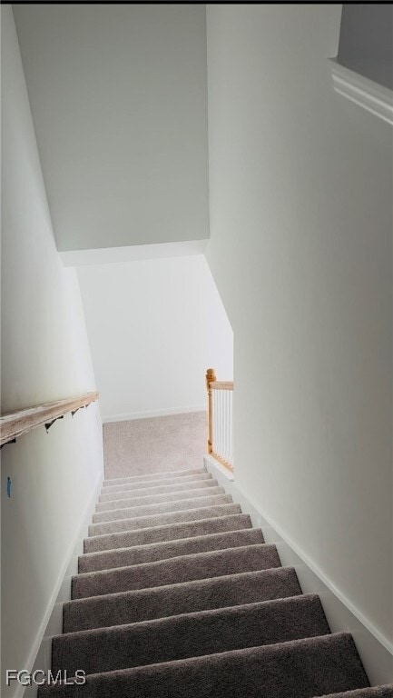 property at 4230 Caterina Ct