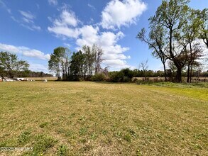 135 Heart Pine Ln in Newton Grove, NC - Building Photo - Building Photo