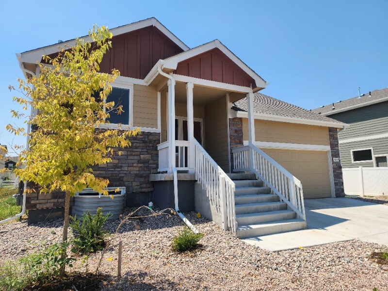 4508 Mountain Sky St in Johnstown, CO - Building Photo
