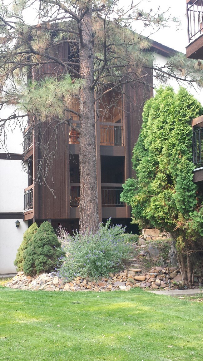 1101 W Greenough Dr Rentals in Missoula, MT