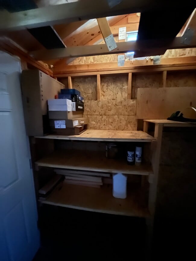 1223 Trails Blvd in Pagosa Springs, CO - Building Photo - Building Photo