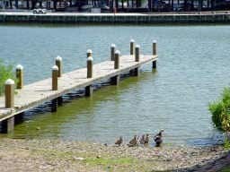 property at 18617 Egret Bay Blvd