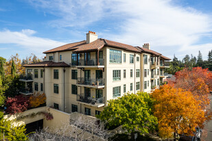 The Hamilton in Palo Alto, CA - Foto de edificio - Building Photo