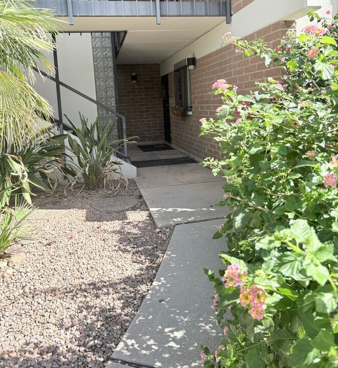 3940 E Timrod St in Tucson, AZ - Foto de edificio