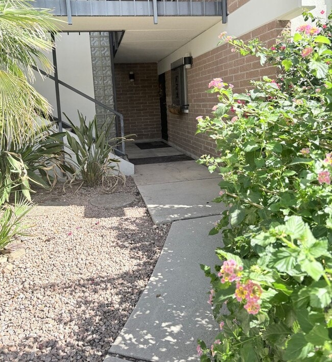 3940 E Timrod St in Tucson, AZ - Foto de edificio - Building Photo