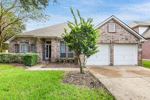 317 Vantage Pointe Cir in League City, TX - Building Photo