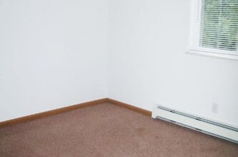 260 N Maple Rd in Saline, MI - Building Photo - Building Photo