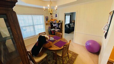 292 Chinaberry Ct in Auburn, AL - Building Photo - Building Photo