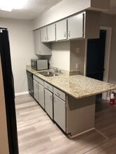 224 Red Maple Pl, Unit Red Maple in Brandon, FL - Foto de edificio - Building Photo