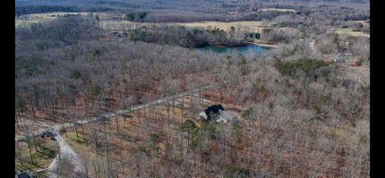 203 Plum Nelly Rd in Rising Fawn, GA - Foto de edificio - Building Photo