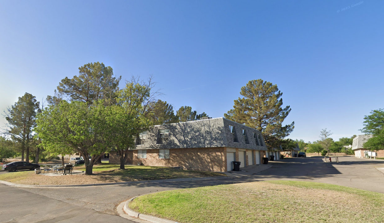 108 Goldens Sands in Santa Teresa, NM - Building Photo