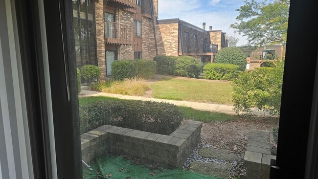 729 Limerick Ln in Schaumburg, IL - Foto de edificio - Building Photo