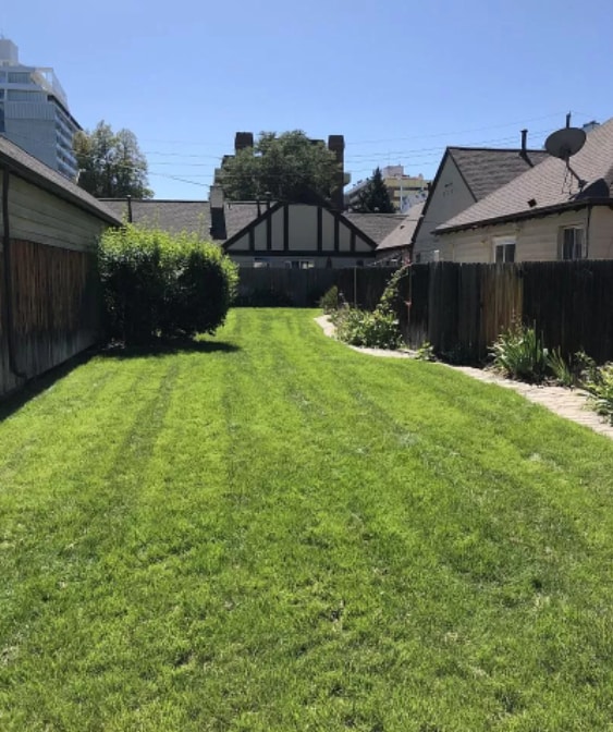 1224 Albion St in Denver, CO - Building Photo - Building Photo