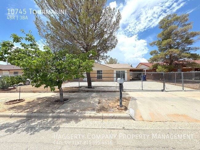 property at 10745 Tourmaline St