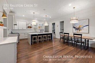393 Ralston Creek St in Charleston, SC - Building Photo - Building Photo