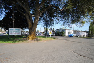 Twin Cypress Mobile Home Park Apartments