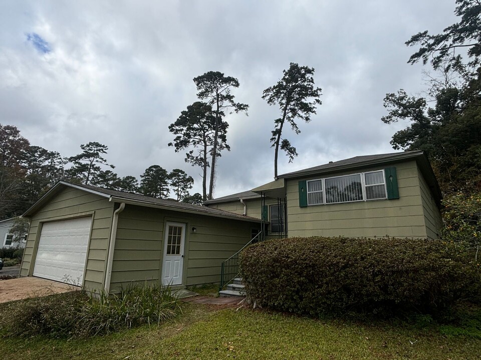 522 Collins Dr in Tallahassee, FL - Building Photo