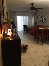 19000 NE 3rd Ct in Miami, FL - Building Photo - Building Photo