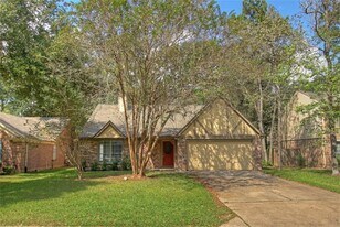 11 Cottage Grove Pl in Spring, TX - Building Photo
