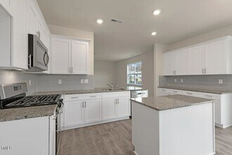 1017 Leo Minor Ln in Wendell, NC - Building Photo - Building Photo