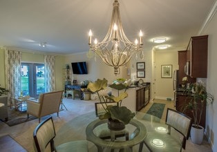 Southern Pine in Virginia Beach, VA - Building Photo - Building Photo