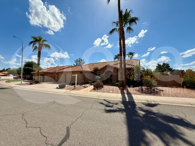 1625 W Gunstock Loop in Chandler, AZ - Building Photo - Building Photo