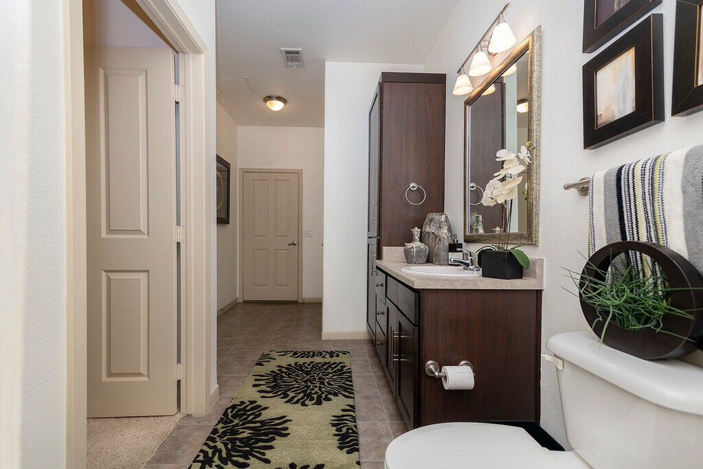 DeSoto Town Center Apartments in Desoto, TX
