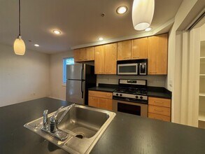 1110 Massachusetts Ave, Unit 2 in Cambridge, MA - Building Photo - Building Photo