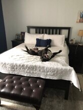 3902 14th St NW, Unit 117 in Washington, DC - Foto de edificio - Building Photo