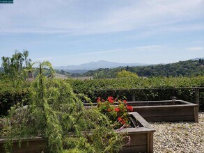 29 Chapel Dr in Lafayette, CA - Building Photo - Building Photo