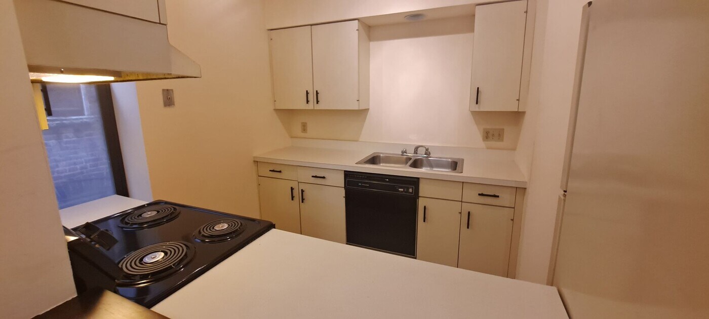 1217 Lami St in St. Louis, MO - Building Photo