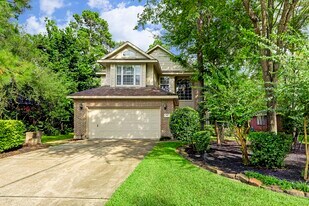 147 N Willow Point Cir in Spring, TX - Building Photo
